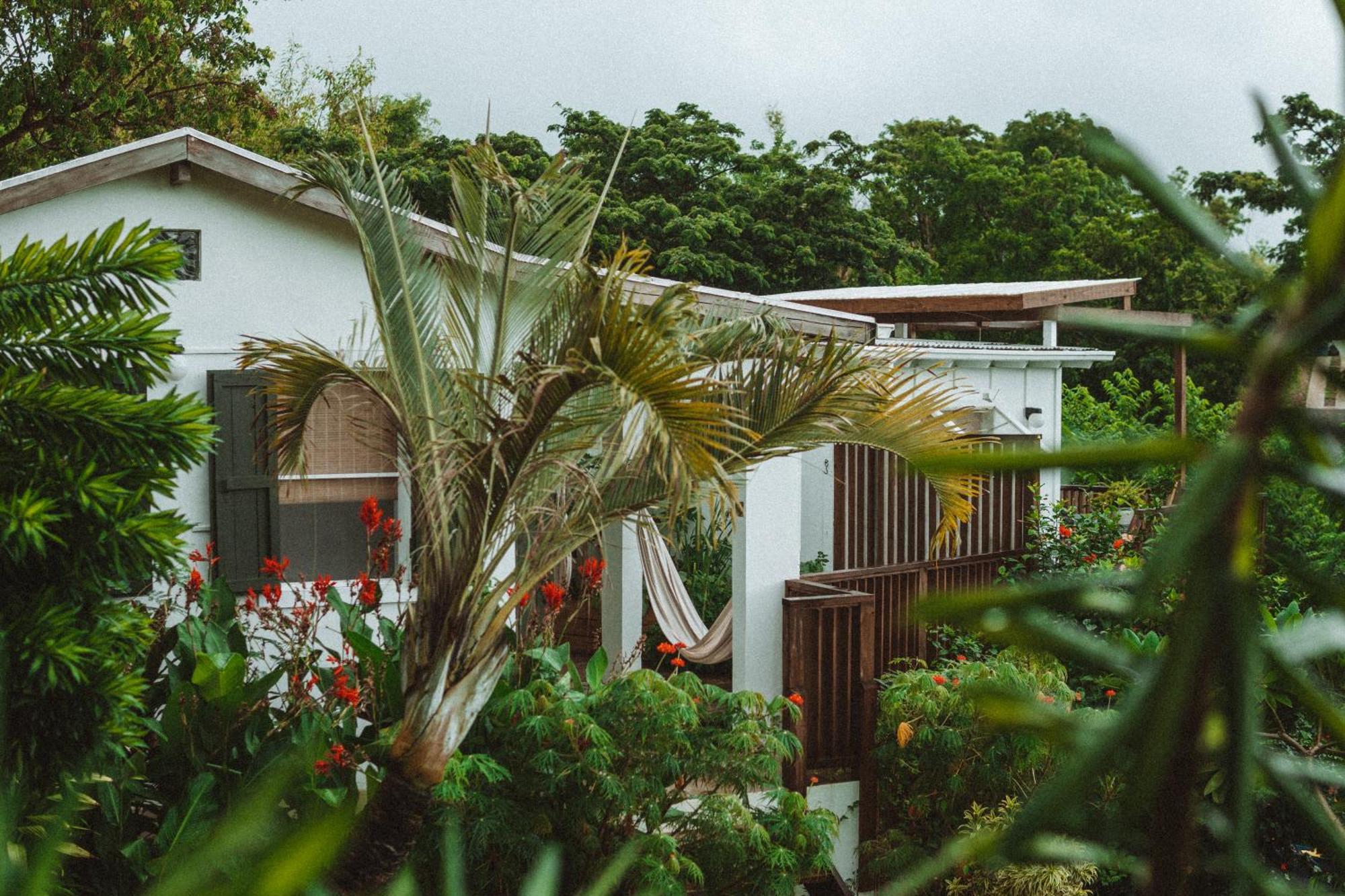 Finca Victoria Vieques Exterior foto